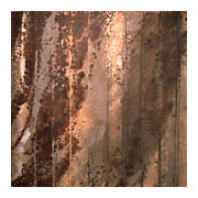 History VII, 2007