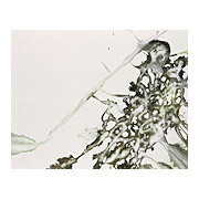 Xeric, 2003