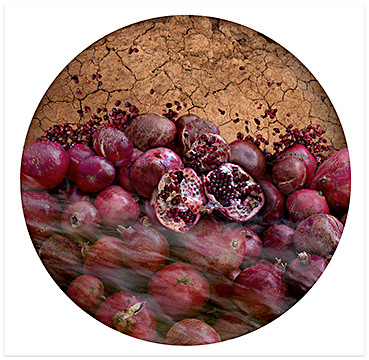 Pomegranates, 2020–22