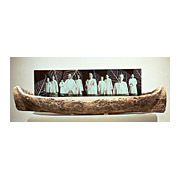 Forest, from Trees at Sea, 2000-01