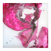 Magenta 2, 2010