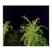 Flora, 2000