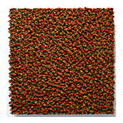 6,805, 2009