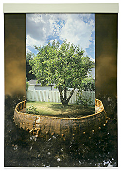 Backyard Boat, 2020–22