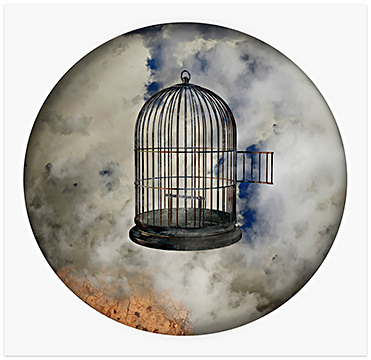 Bird Cage with Open Door, 2020–22