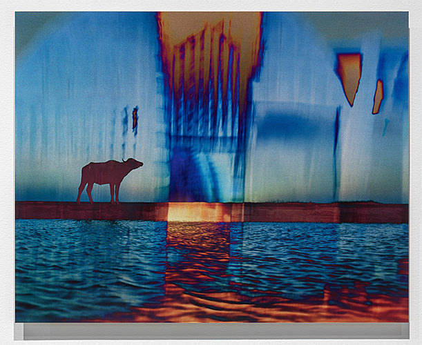 Dawn and Dusk, Mesopotamian Marshes, 2011–13