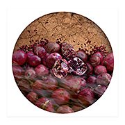 Pomegranates, 2020–22