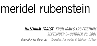 Meridel Rubenstein: Millennial Forest from Joan's Arc/Vietnam