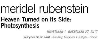 Meridel Rubenstein: Heaven Turned on its Side: Photosynthesis