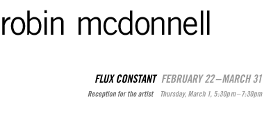 Robin McDonnell: Flux Constant