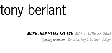 Tony Berlant: More Than Meets the Eye